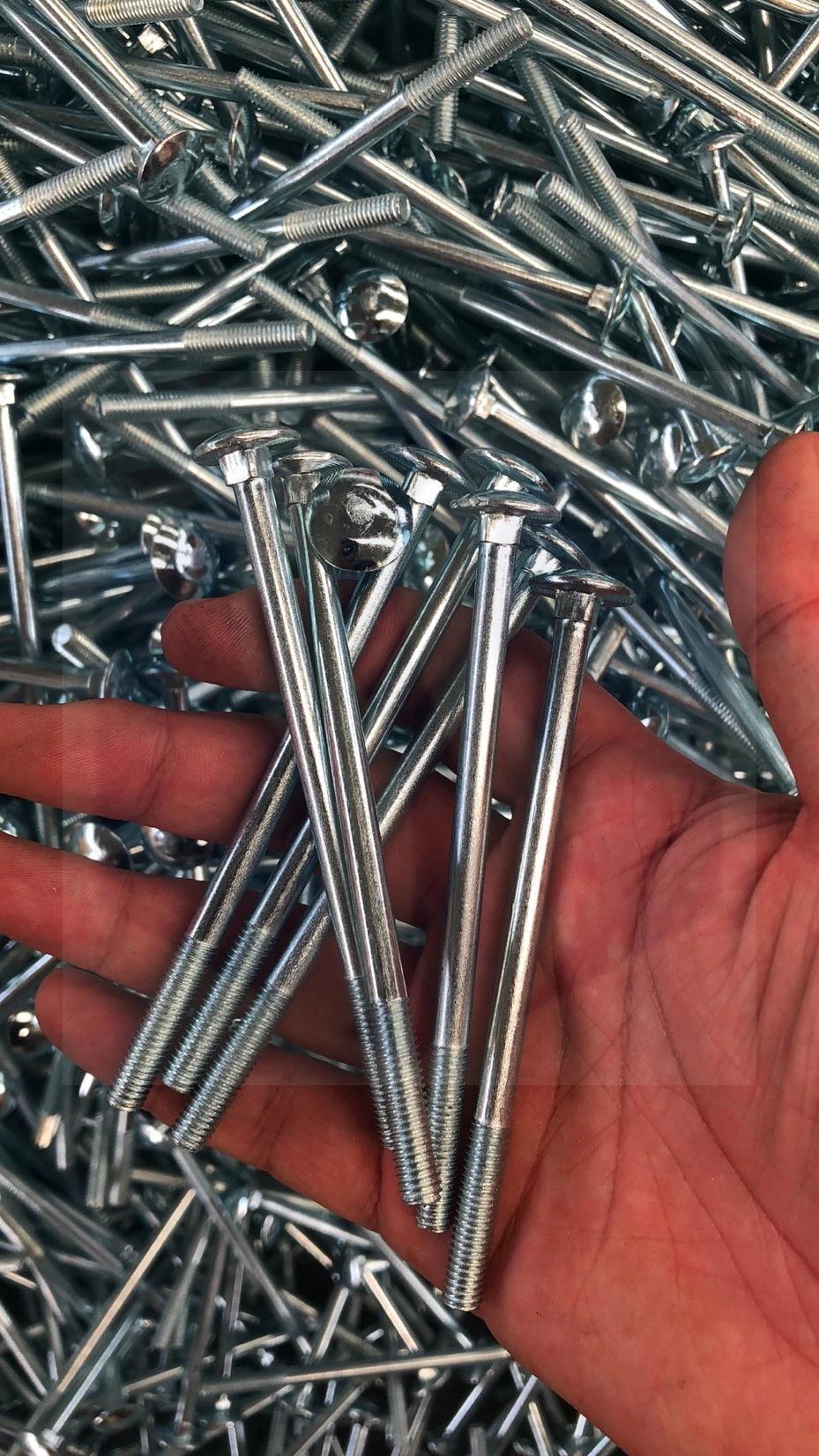 Hot DIP Galvanized Grade 8.8 DIN603 Carriage Bolt