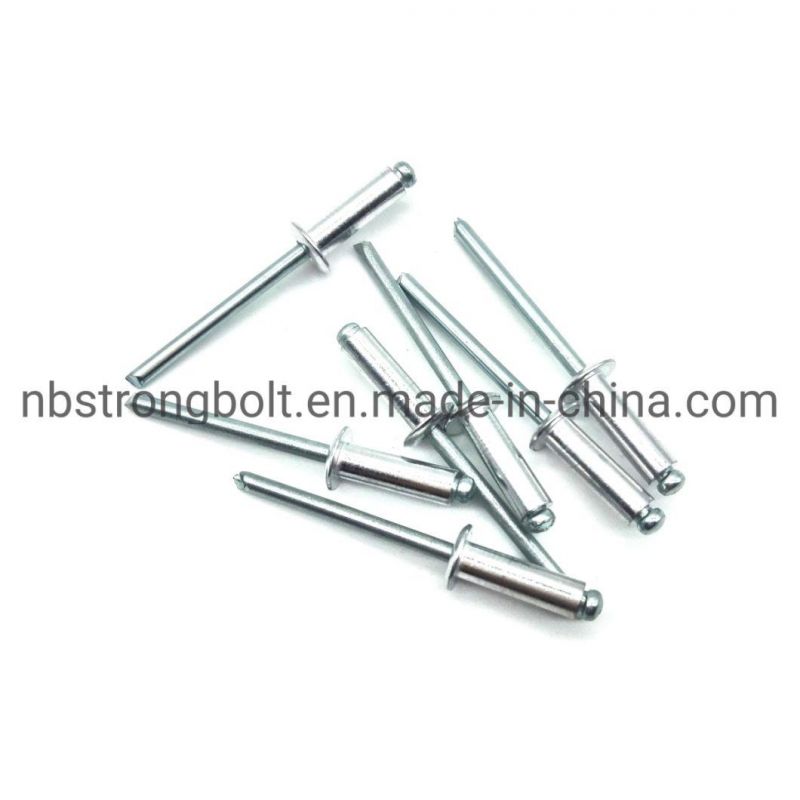 Open Rivet with Flat Round Head