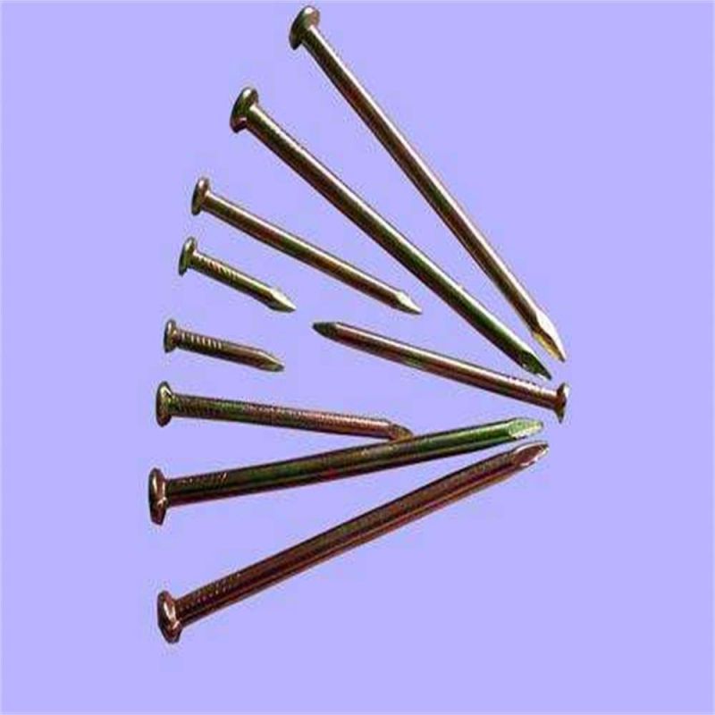 High Strength Especially Hard White Steel Nail Home Decoration Building Materials Galvanized Iron Nail