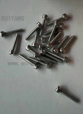 Screw Bolt Fastener in Self Tapping Allen Head