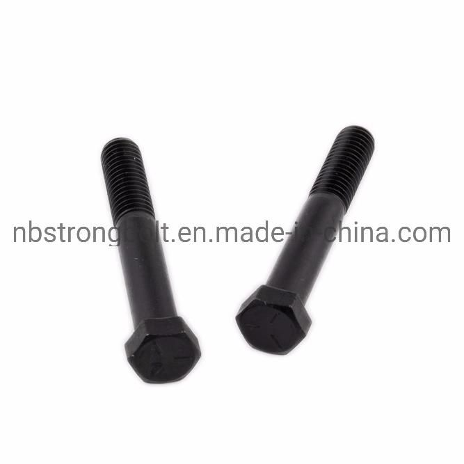 SAE J 429 Hex Head Cap Screw with Black From China