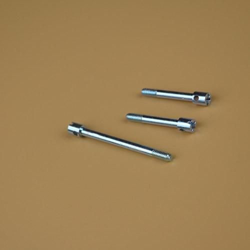 Special Screw Machine Bolts Screw/Terminal Cover Screw