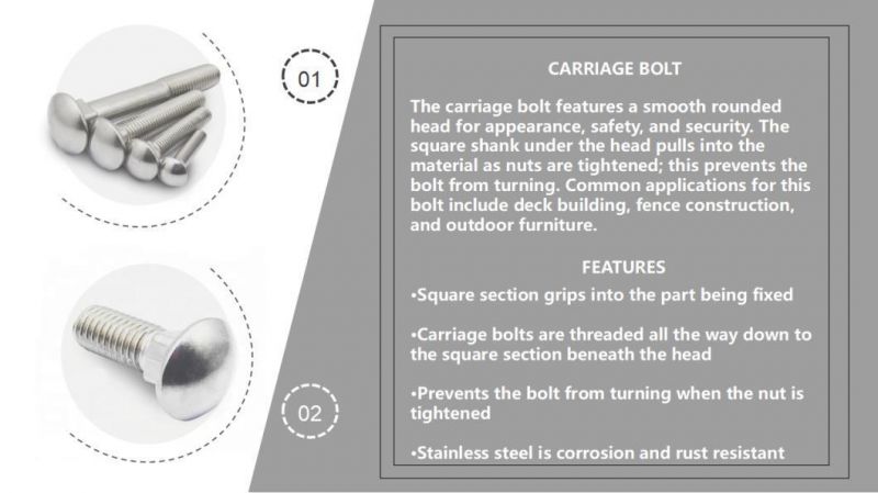 DIN603 Galvanized Round Head Square Neck Carriage Bolt