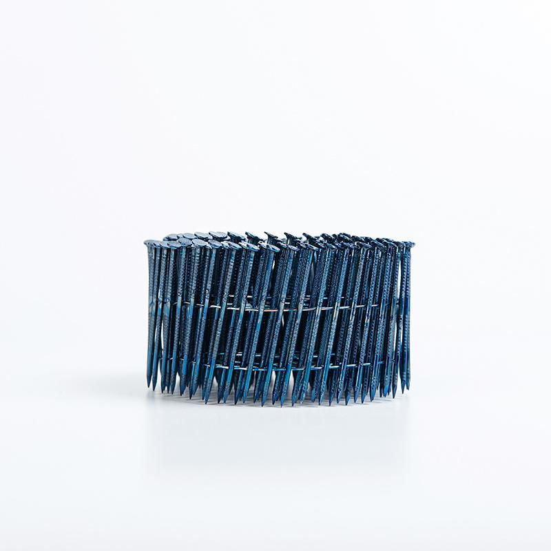 SUS304 Stainless Steel Wire Coil Nails