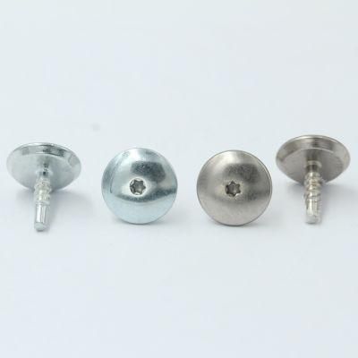 Customized Stainless Steel Inner Heagonal Head Special Shaped Self Tapping Screw