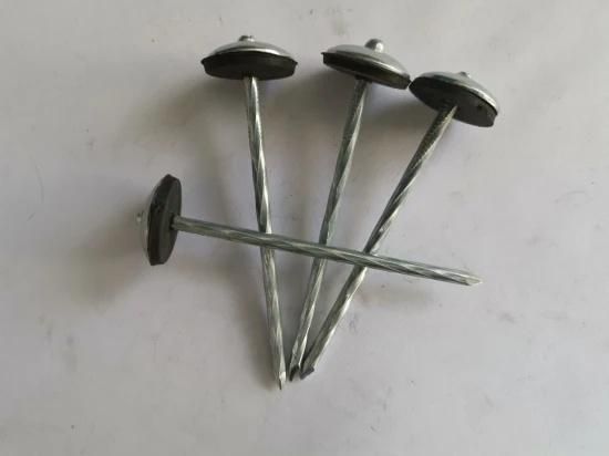 Coil Roofing Nails Good Products with Rubber Washer Umbrella Head Roofing Nails