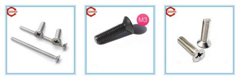 Ss304 Countersunk Head Screw/ Flat Head Phillips Screw