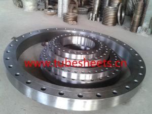 High Pressure Gr2 Titanium Dn125 Pipe Flanges