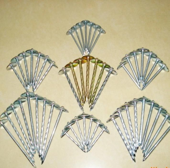 China Wholesale Gal. Roofing Nails/Roofing Screw