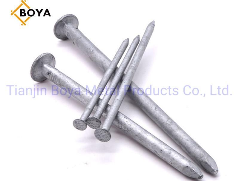 Bright Common Wire Nails/Polished Nail/Galvanized Nail/Building Nail/Iron Nail/Hardware
