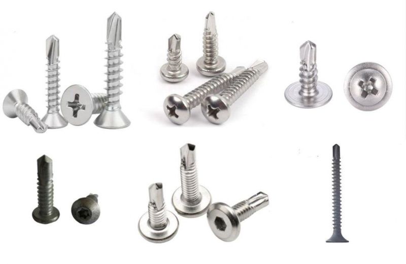 Stainless Steel Screws/Self Drilling Screw/Self Tapping Screw/Roofing Screw/Machine Screw/Wood Screw/Chipboard Screw/Deck Screw/Drywall Screw /Gurb Screws