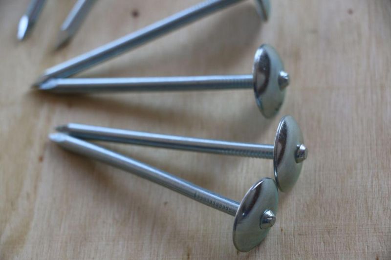 50kg Gunny Bag Umbrella Head Roofing Nails for Kenya Used for Building Construction