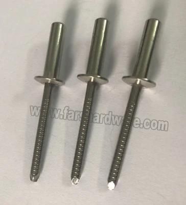 All Steel Close End Bolt Blind Rivet