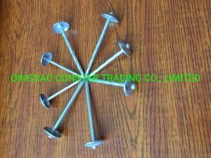Bwg9*2.5&quot; Galvanized Smooth and Twist Shank Roofing Nails