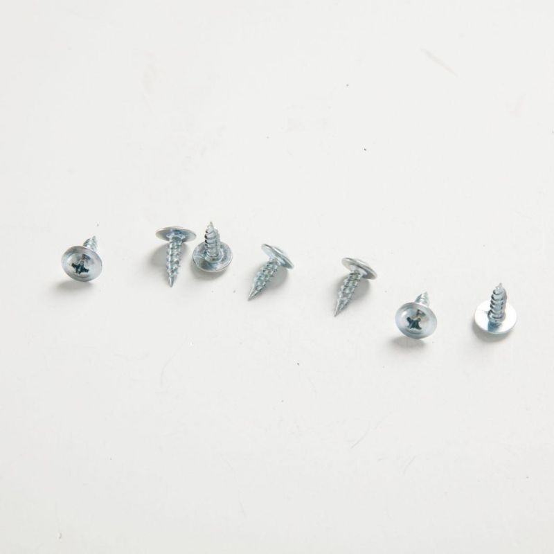 Tianjin China Factory Hot Selling Truss Head Self Tapping Screw
