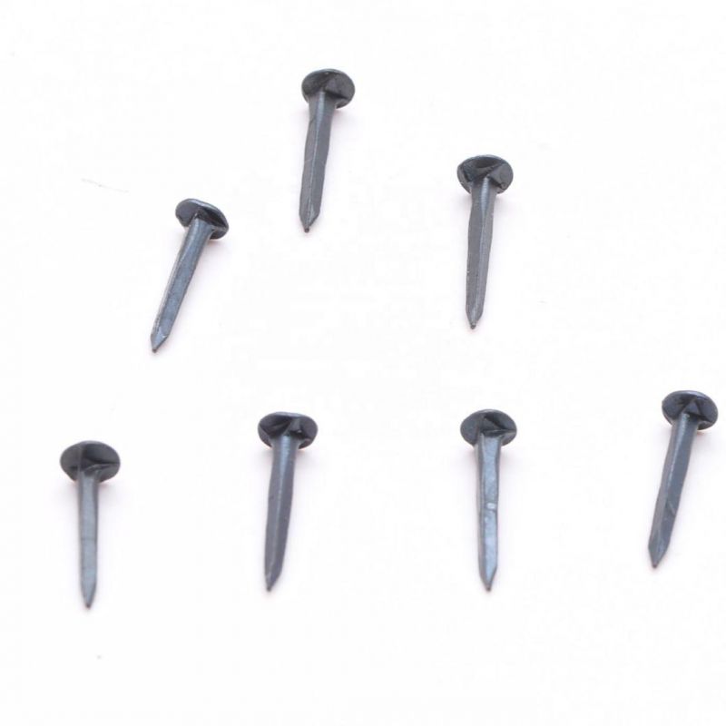 Cheap Shoe Tacks, Nails for Shoe