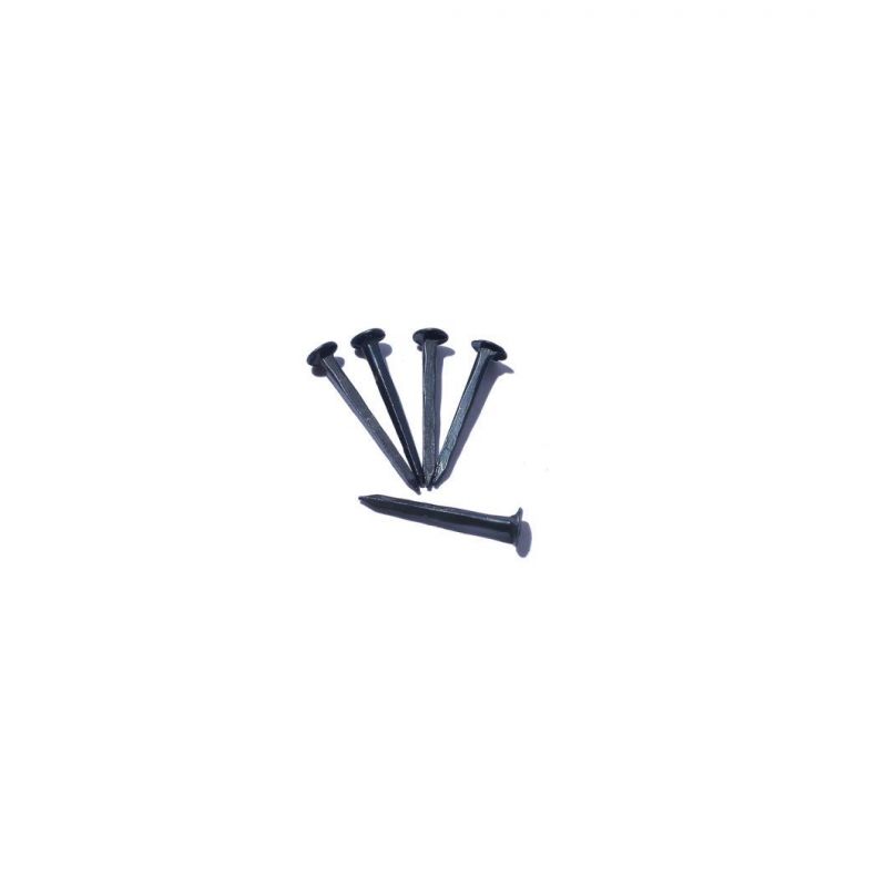 High Quality Q195 Wire Rod Common Nails