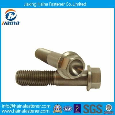 DIN6921 Titanium Hexagon Flange Bolts for Medical