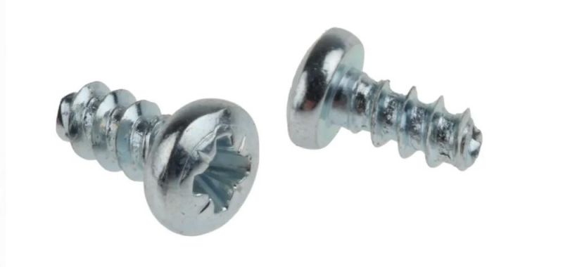 Blue Zinc Plated Type B Flat/Pan Head Self Tapping Screw for Plastic