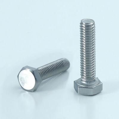 Hex Head Stainless Steel 304 Bolt with Nut and Washer