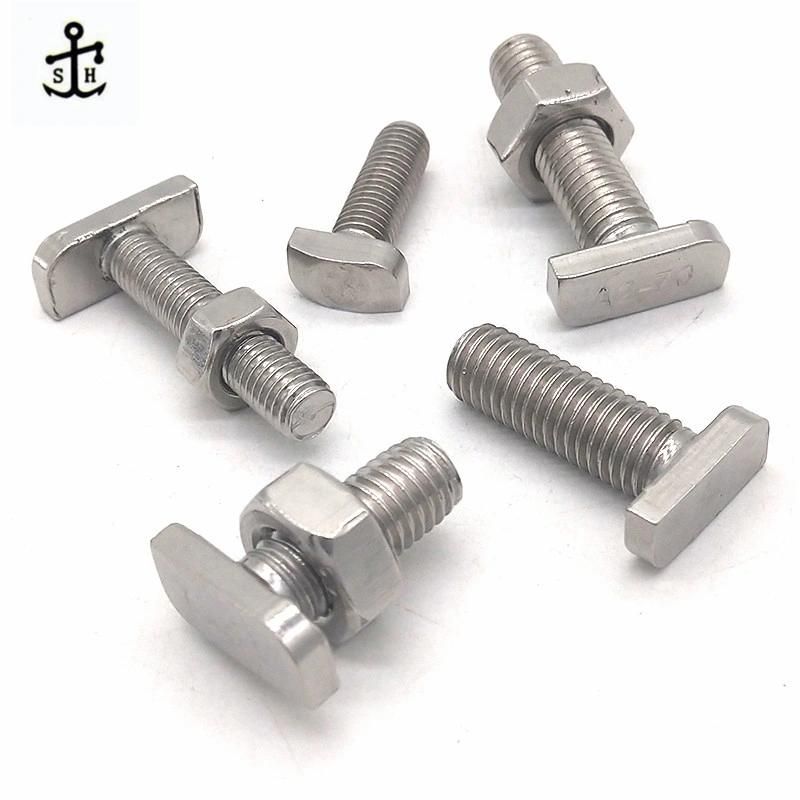Customized Stainless Steel &Carbon Steel T Hammer Head T Screw Bolts Made in China