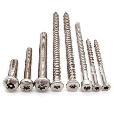 SS304 SS316 St2.9 St4.8 DIN7981 Stainless Steel Cross Recessed Pan Head Self Tapping Screws