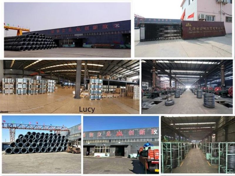 40mm Galvanized Square Shank Twist Nails High Quality to Europe Market