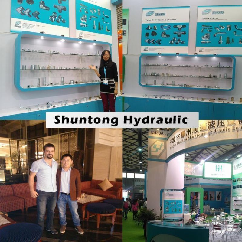 Hydraulic Ferrule Hose Fitting Hydraulic Fitting Ferruleadapter