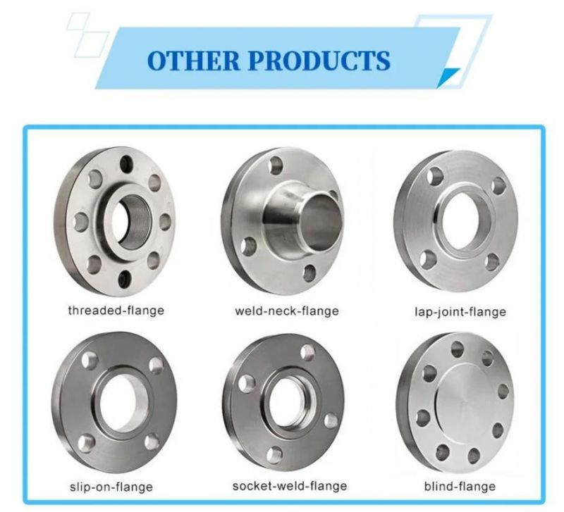 New DIN Standard Stainless Steel Forged Flange