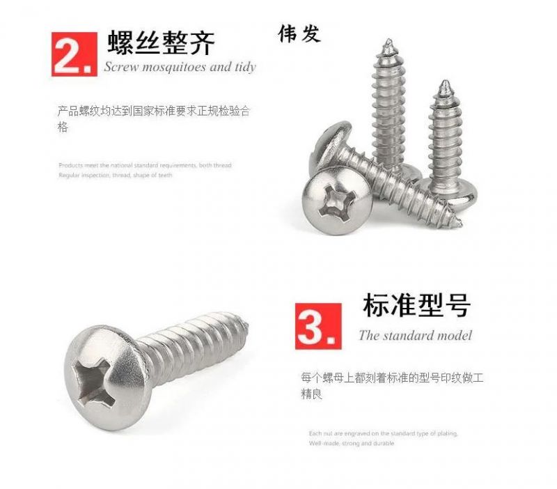 M5mm 304 Stainless Steel Pan Head Cross Tapping Screw Half Round Head Tapping Screw GB845 St4.8