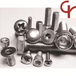 Hexagon Socket Head Cap Screw/Self Drilling Screw/Cross Recessed Large Flat Head Screw