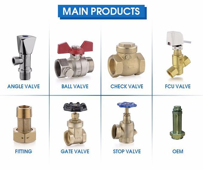 G1/2 Male Threand Brass Bard Flexible Hose Connector