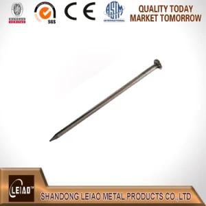 Nail, Common Round Wire Nail