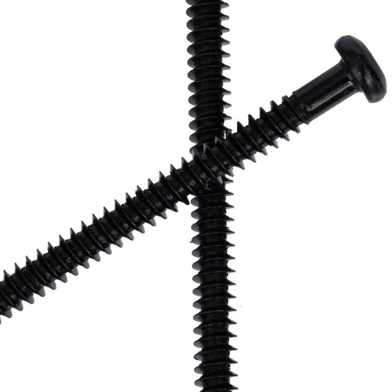 Tek Screw /Self Drilling Screw /Roofing Screw/ Tapping Screw Bolts