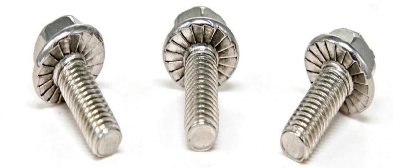 SS316 A2-70 M14 M20 M25 A4-80 M10 Flange Bolt Nut