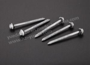 Hex Washer Head Self Tapping Screw with PP Washer