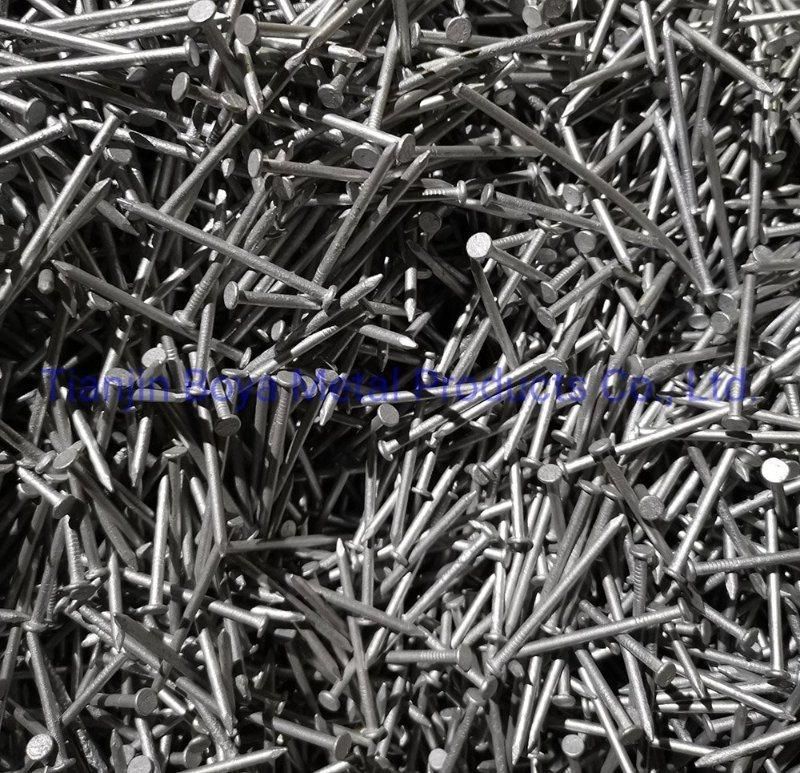 Top Quality Common Nails/Hardware/Galvanized/Hot Dipped Galvanized/Wood Nail for Construction