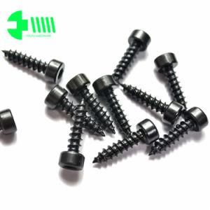 Fastener Cup Round Head Hex Socket Allen Screw for Furniture