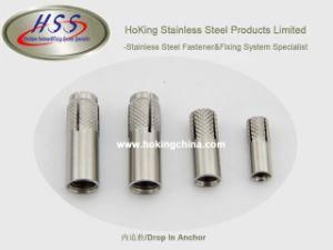 Stainless Steel 304 316 Drop in Anchor