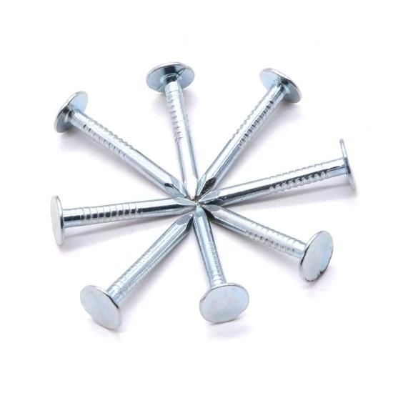 Flat Head Roofing Nails Hot Dipped Galvanized Clout Head Nail