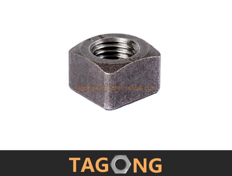 Carbon Class12 6h M24 Square Nuts Truck Nuts