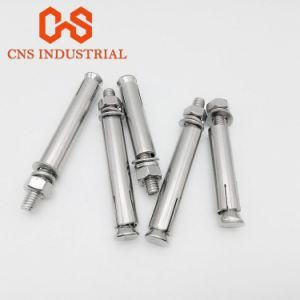 Stainless Steel Lifting Anchor Bolt / Expansion Anchor Bolts