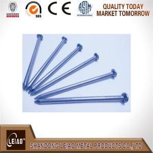 Nail, Common Nail, Hot Sale Common Iron Wire Nail