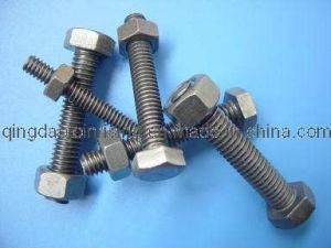 Hex Bolts