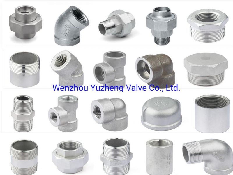 Stainless Steel 304/316 Hex Plug