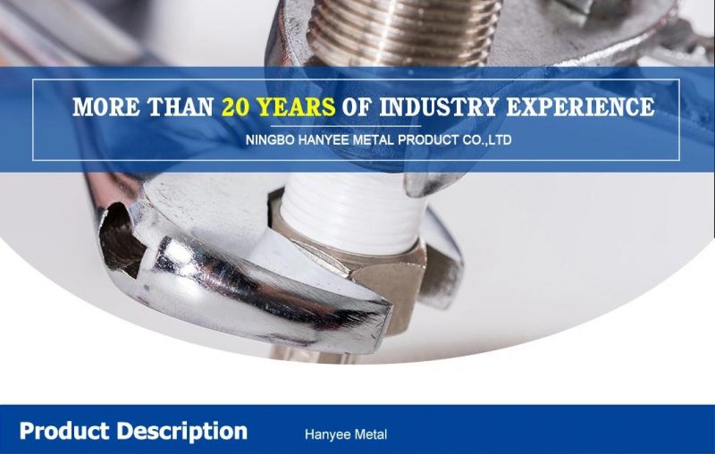 Our Factories 20 Years′ Experience Direct Factory Prices Building Hardware Shaped Fastener