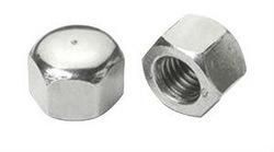 Stainless Steel Hex Cap Nuts DIN917 for Industry