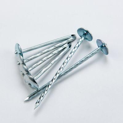 High Quality Galvanized Roofing Nail with Competitive Price