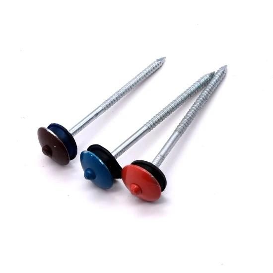 2.5 Inch Galvanized Umbrella Head Colored Roofing Nails with Washer