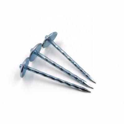 Electro Galvanized Colored Umbrella Head Steel Roofing Nail